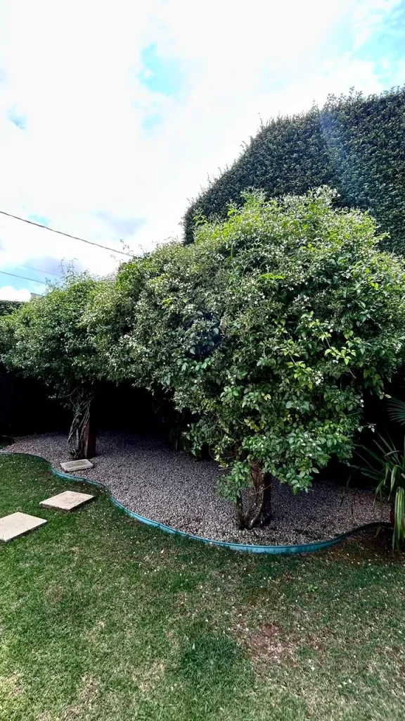 Foto 28